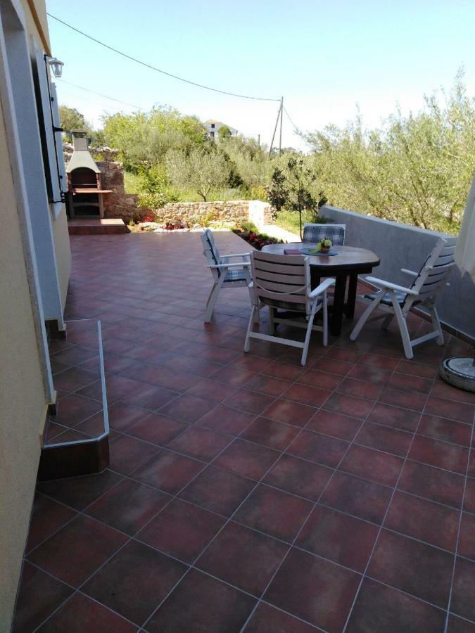 Apartamento Long Island Olive *